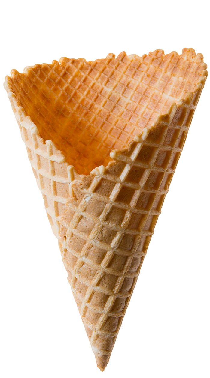 Large Waffle Cone x 252