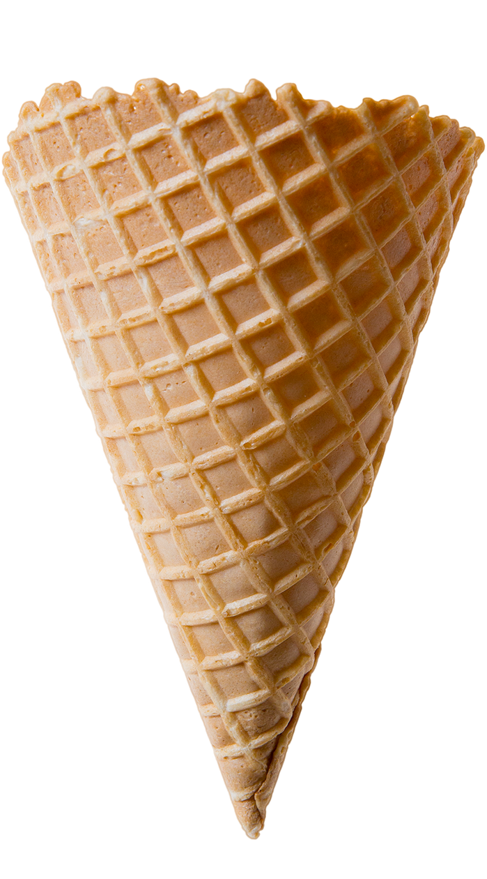 Large Waffle Cone x 252